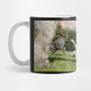 Oops-A-Daisy Spinone Mug